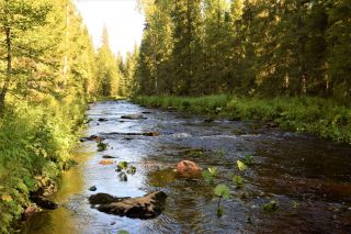 Река Коростелёвка, автор Я Кутузов