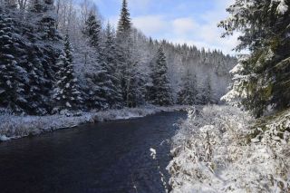 Река Бол. Басег в ноябре, автор Я Кутузов
