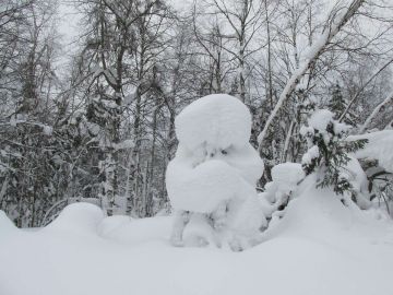 Снежный дед