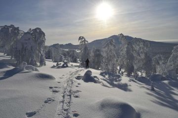 Автор фото Я.Кутузов