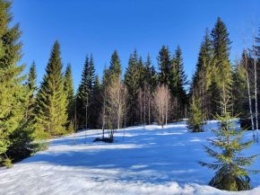 Автор фото Владимир Лейрих