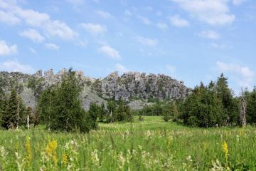 Цветение горных лугов