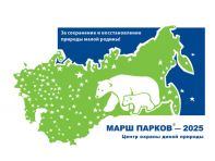 mp logo 2025 480
