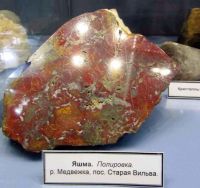 yaschma vilva